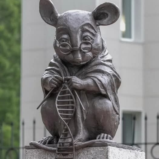 мышь вяжет днк